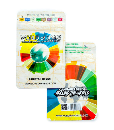 Pakistan Ryder auto fem (World of Seeds) семена конопли — изображение 2