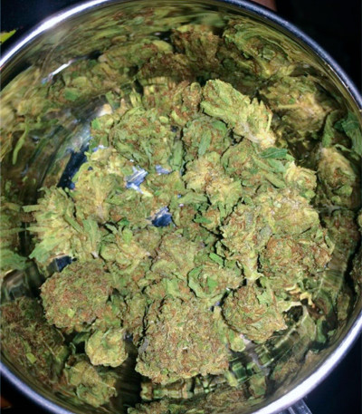 Семена сорта Black Cherry Punch fem (Pyramid Seeds) — изображение 5