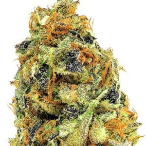 K.O. Kush fem (Heavyweight Seeds) семена конопли