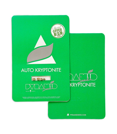 Auto Kryptonite fem (Pyramid Seeds) семена конопли — изображение 2