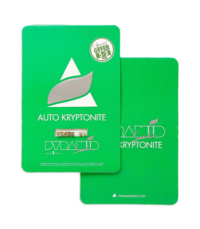 Auto Kryptonite fem (Pyramid Seeds) семена конопли — изображение 3