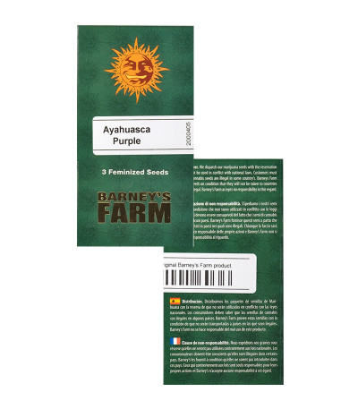 Ayahuasca Purple fem (Barney's Farm) семена конопли — изображение 2
